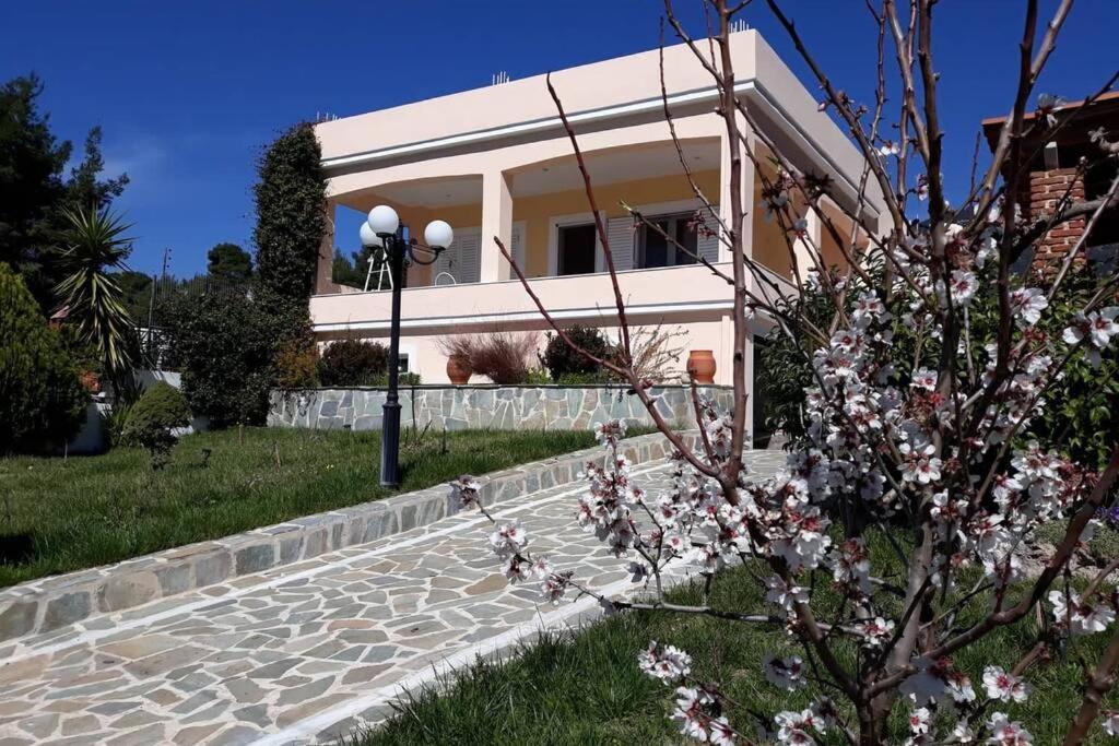 Σπίτι Στο Βουνό Αλλά Μια Ανάσα Από Τη Θάλασσα Villa Paleochori Exteriör bild