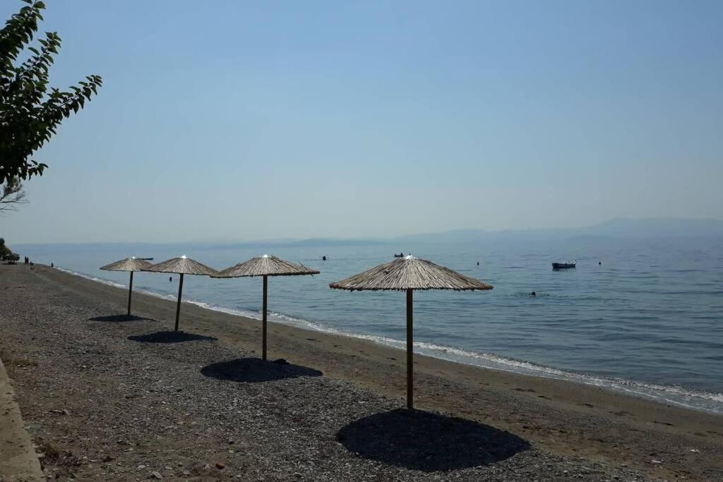 Σπίτι Στο Βουνό Αλλά Μια Ανάσα Από Τη Θάλασσα Villa Paleochori Exteriör bild