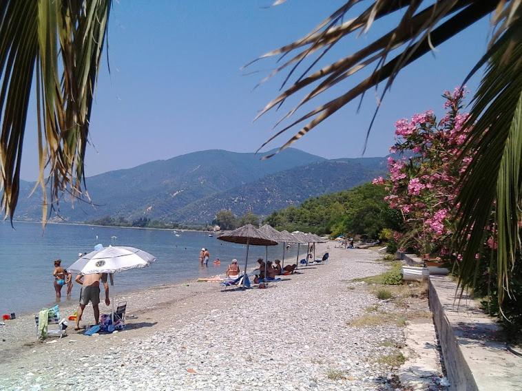 Σπίτι Στο Βουνό Αλλά Μια Ανάσα Από Τη Θάλασσα Villa Paleochori Exteriör bild