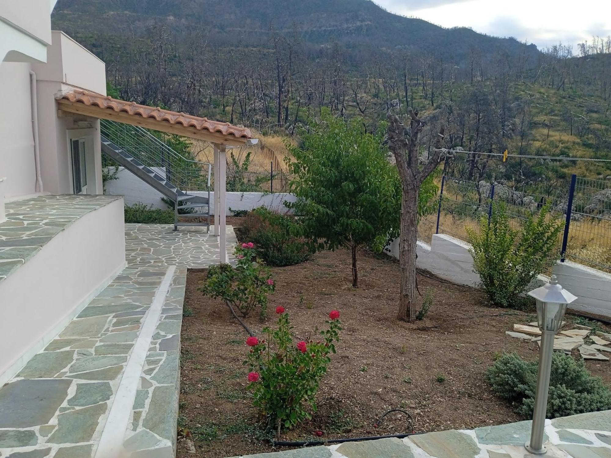 Σπίτι Στο Βουνό Αλλά Μια Ανάσα Από Τη Θάλασσα Villa Paleochori Exteriör bild